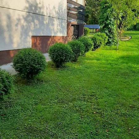 营地 Ravne 维索科