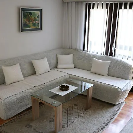 营地 Ravne 维索科